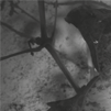 'Carte Blanche to Moritz von Oswald' a documentary by Caroline Lessire - 28.01.12
