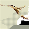 New Website - 07.07.08