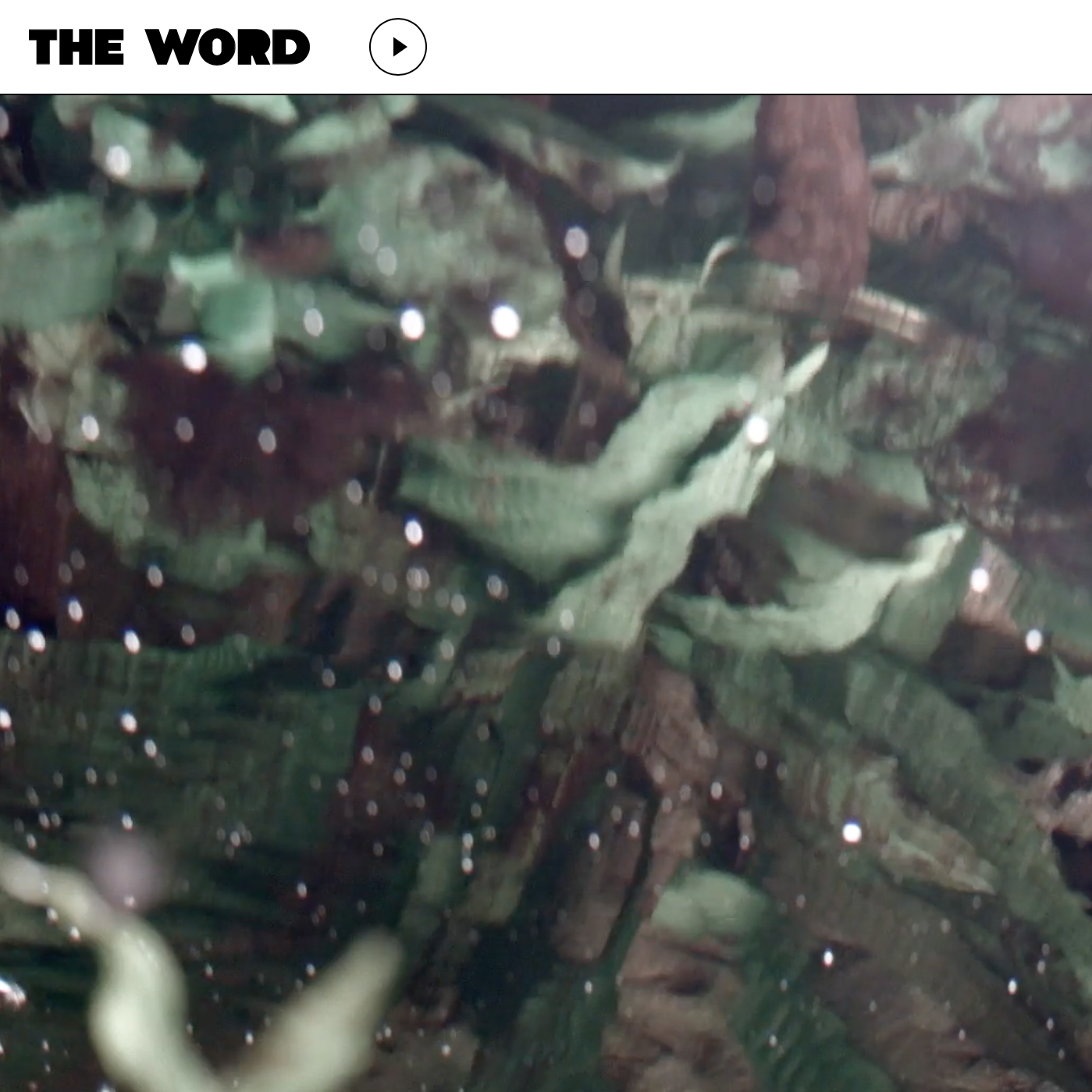 The Word Radio The Word Radio