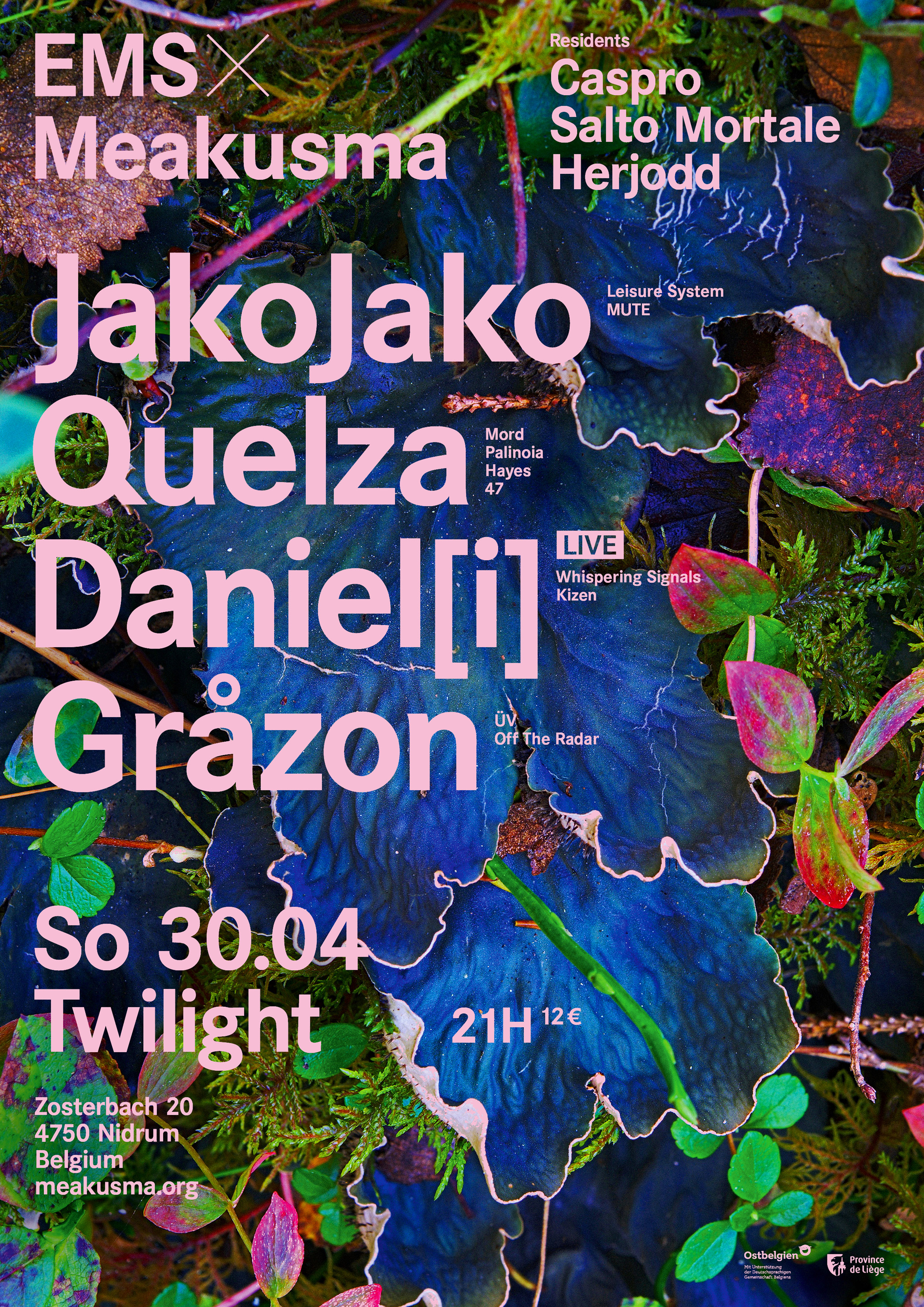 JakoJako, Quelza, Daniel(i), Gråzon & Residents